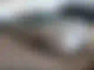 Vehicle Image- 2004 Chevrolet Malibu