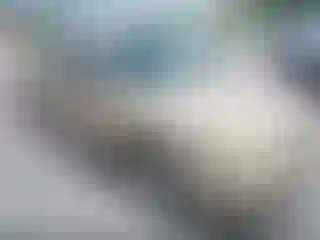 Vehicle Image- 2004 Chevrolet Malibu