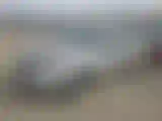 Vehicle Image- 2004 Chevrolet Malibu