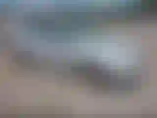 Vehicle Image- 2004 Chevrolet Malibu