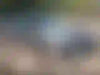 Vehicle Image- 2005 Chevrolet Malibu