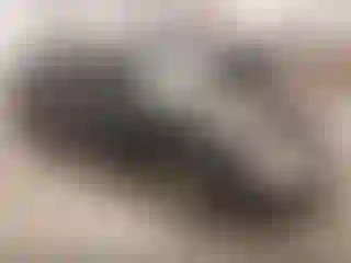 Vehicle Image- 2005 Chevrolet Malibu