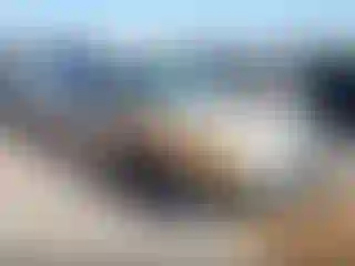 Vehicle Image- 2003 Pontiac Grand