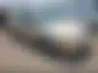 Vehicle Image- 2004 Pontiac Grand