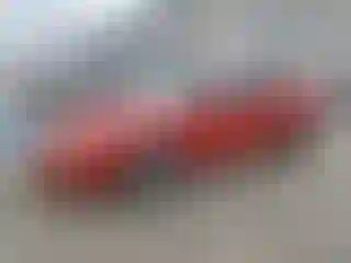 Vehicle Image- 2004 Pontiac Grand