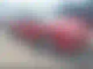 Vehicle Image- 1998 Pontiac Grand