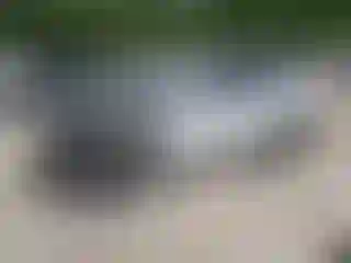 Vehicle Image- 2016 Cadillac CTS