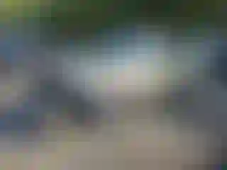 Vehicle Image- 2014 Cadillac CTS