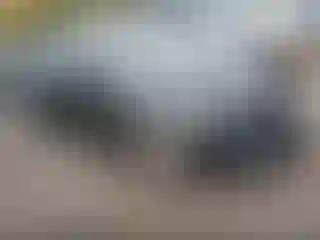 Vehicle Image- 2015 Cadillac CTS