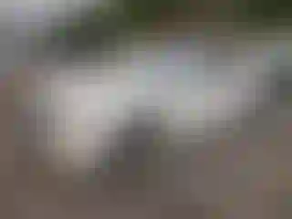 Vehicle Image- 2014 Cadillac CTS