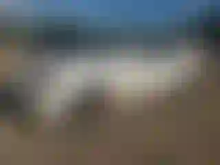 Vehicle Image- 2006 Cadillac CTS