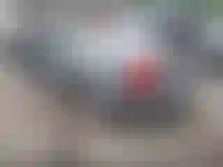 IMPORTOWO.pl