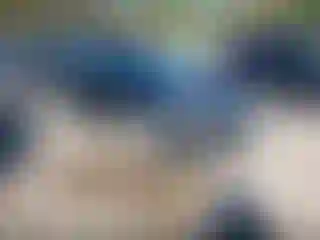 Vehicle Image- 2010 Cadillac CTS