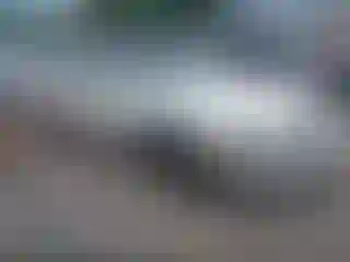 Vehicle Image- 1994 Cadillac Deville