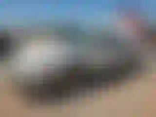 Vehicle Image- 1999 Cadillac Deville
