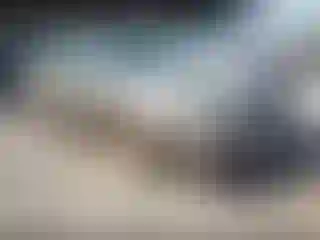 Vehicle Image- 2003 Cadillac Deville