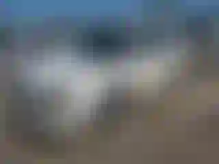Vehicle Image- 2000 Cadillac Deville