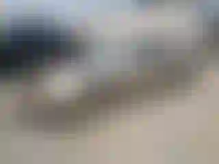Vehicle Image- 2005 Cadillac Deville