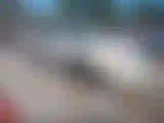 Vehicle Image- 2000 Cadillac Deville