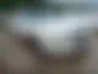 Vehicle Image- 1997 Cadillac Deville
