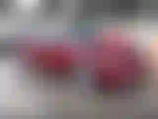 Vehicle Image- 2004 Saturn ION