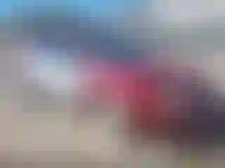 Vehicle Image- 2004 Saturn ION