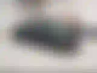 IMPORTOWO.pl