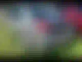IMPORTOWO.pl
