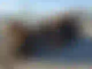 Vehicle Image- 2005 Chevrolet Express