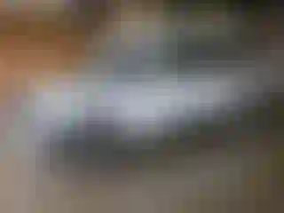 Vehicle Image- 2009 Chevrolet Express