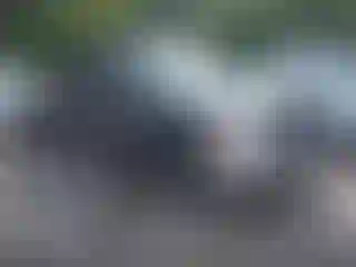 Vehicle Image- 2007 Chevrolet Silverado