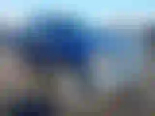 Vehicle Image- 2019 Chevrolet Silverado