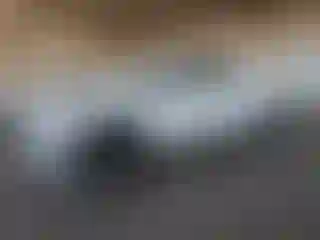 Vehicle Image- 2019 Chevrolet Silverado