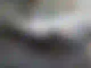 Vehicle Image- 2015 Chevrolet Silverado