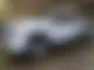 Vehicle Image- 2023 Chevrolet Silverado