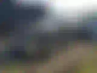 Vehicle Image- 2020 Chevrolet Silverado