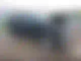 Vehicle Image- 2021 Chevrolet Silverado