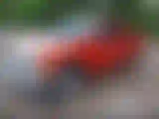 IMPORTOWO.pl