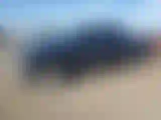 Vehicle Image- 2008 Chevrolet Colorado