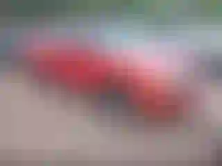 Vehicle Image- 2000 Chevrolet S-10
