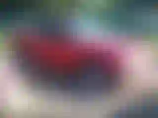 Vehicle Image- 2003 Chevrolet S-10
