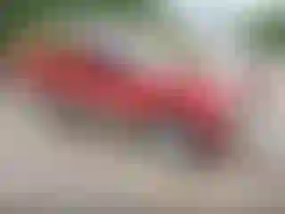 Vehicle Image- 2000 Chevrolet S-10
