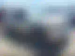 Vehicle Image- 2008 Chevrolet Silverado