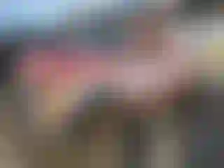 Vehicle Image- 1994 Chevrolet GMT-400