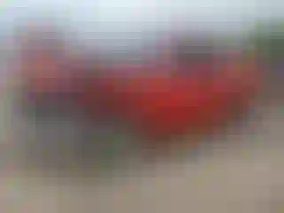 Vehicle Image- 2002 Chevrolet Silverado