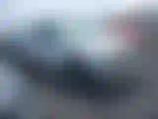 Vehicle Image- 2004 Chevrolet Silverado
