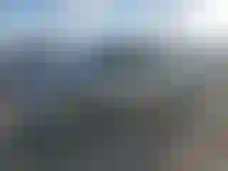 Vehicle Image- 2002 Chevrolet Silverado