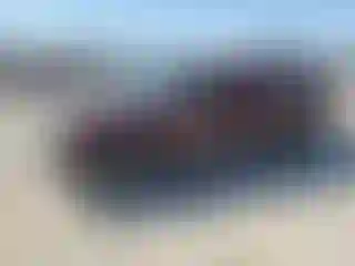 Vehicle Image- 2002 Chevrolet Silverado
