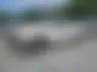 Vehicle Image- 2003 Chevrolet Silverado