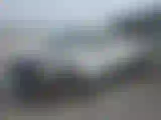 Vehicle Image- 2001 Chevrolet Silverado